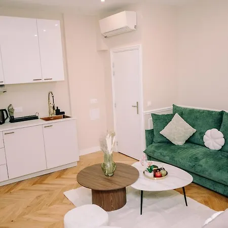 Apartamento 4p-1br - Eiffel Tower View - Fully Renovated - A-c Paris